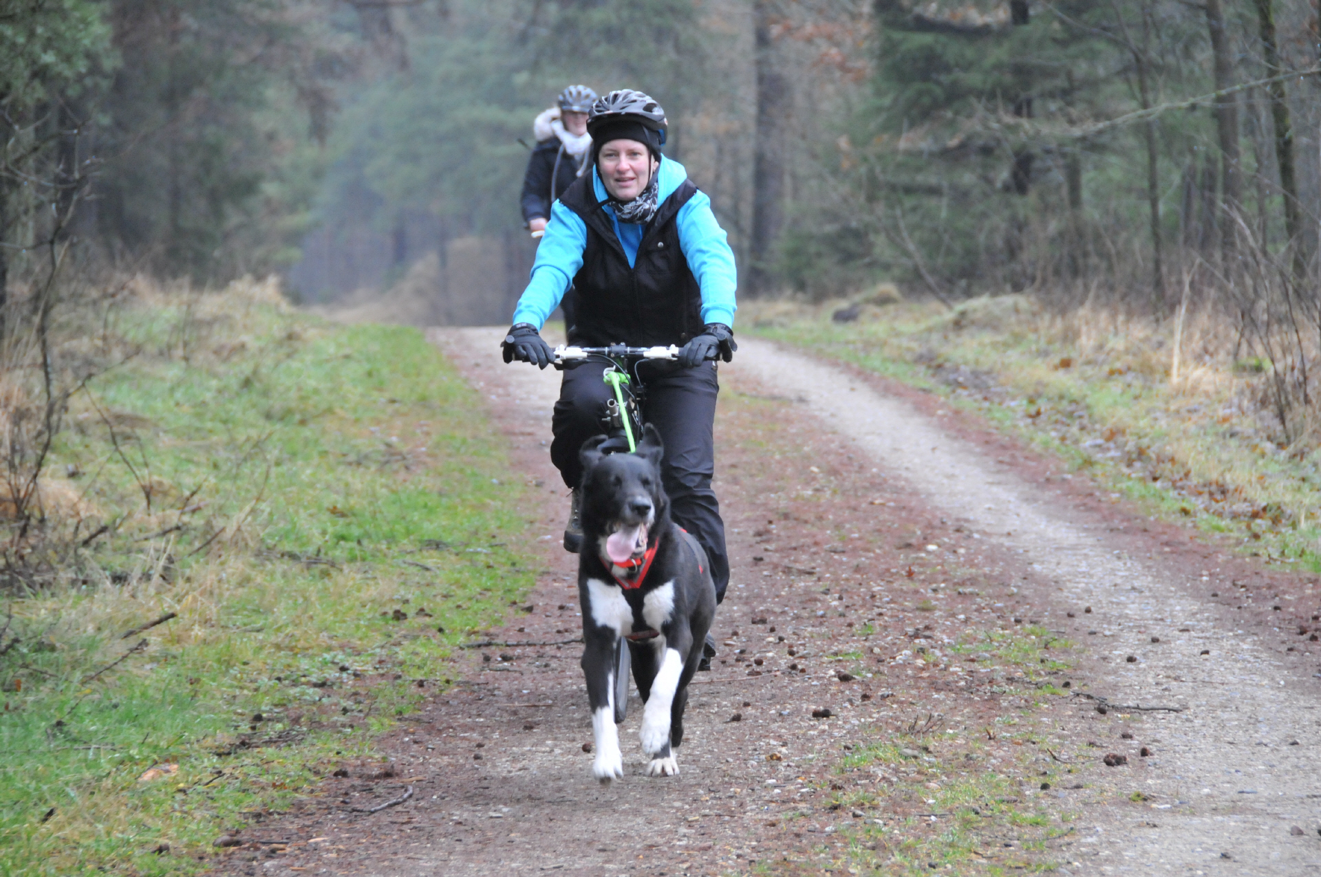Aktiv mit Hund und Fahrrad